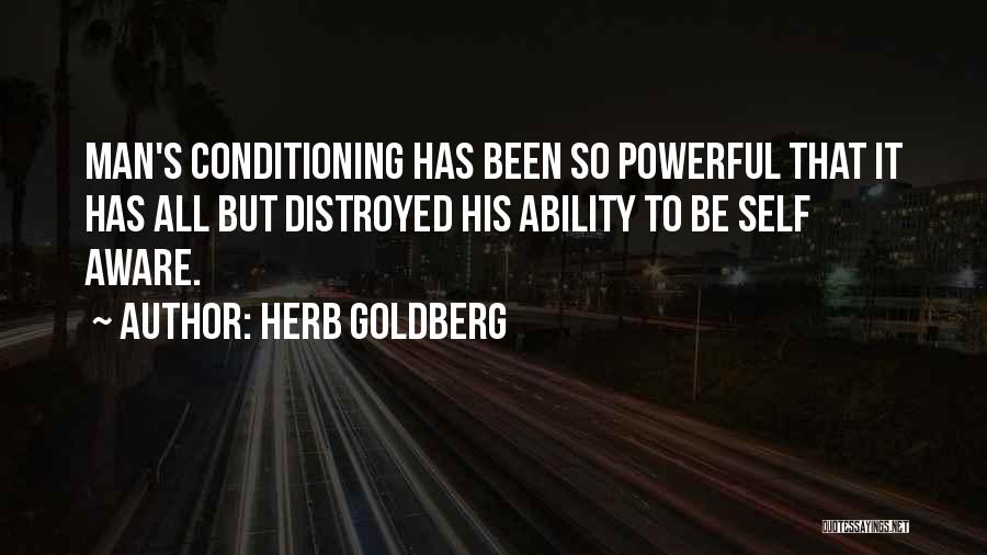 Herb Goldberg Quotes 1483684