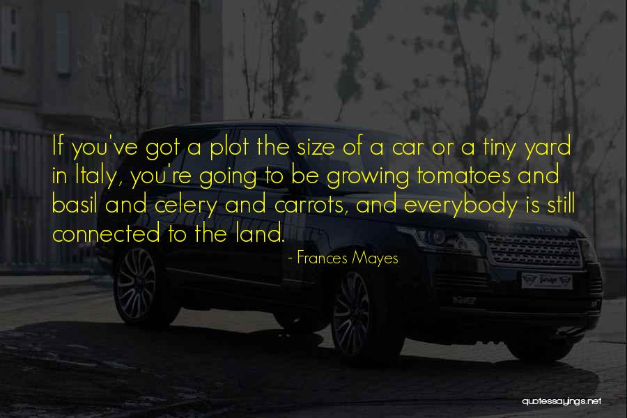 Herbener Quotes By Frances Mayes Herbener Quotes By Frances Mayes