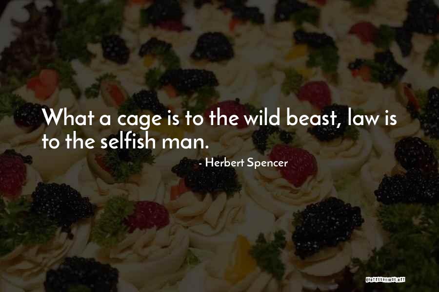 Herbert Spencer Quotes 1993826 Herbert Spencer Quotes 1993826