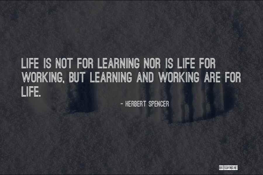 Herbert Spencer Quotes 762740 Herbert Spencer Quotes 762740