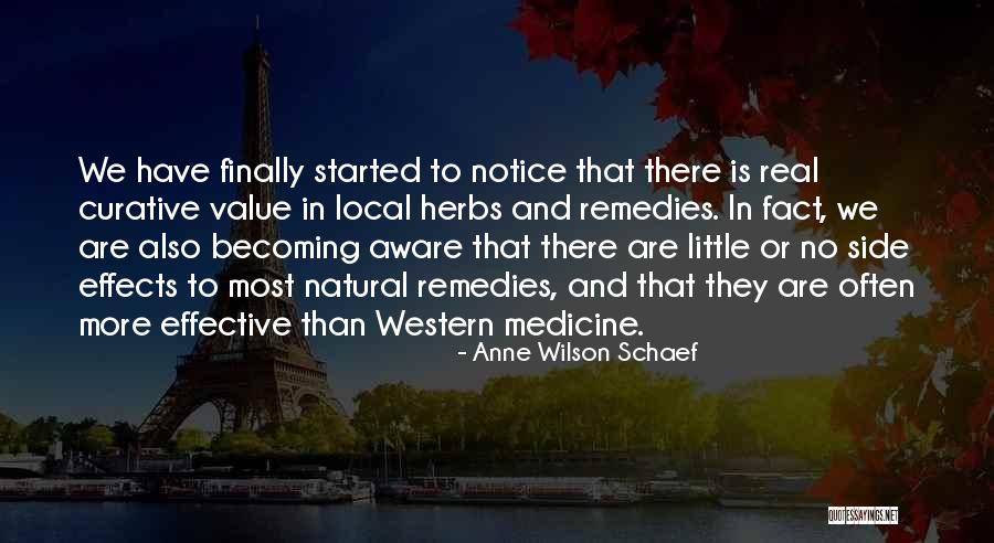 Herbs Quotes By Anne Wilson Schaef Herbs Quotes By Anne Wilson Schaef