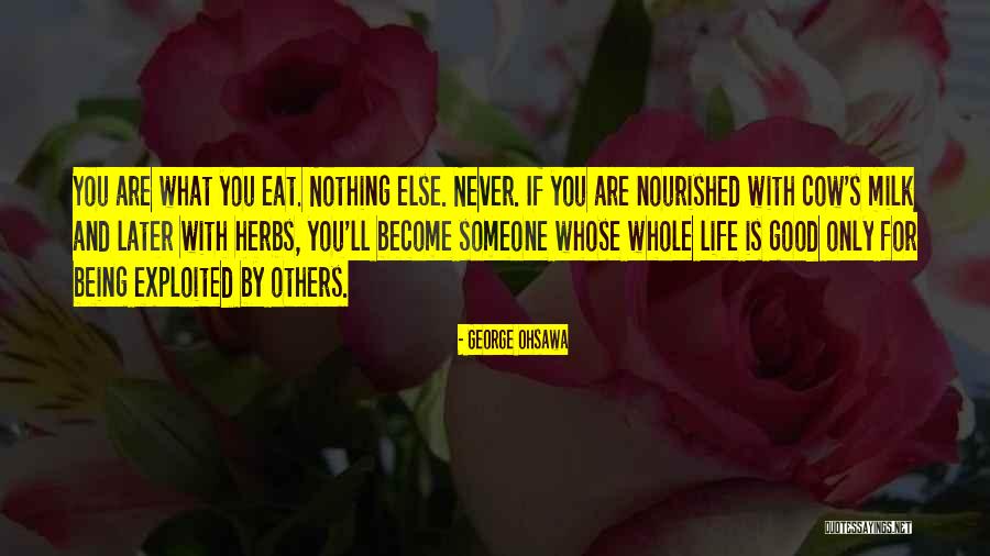 Herbs Quotes By George Ohsawa Herbs Quotes By George Ohsawa