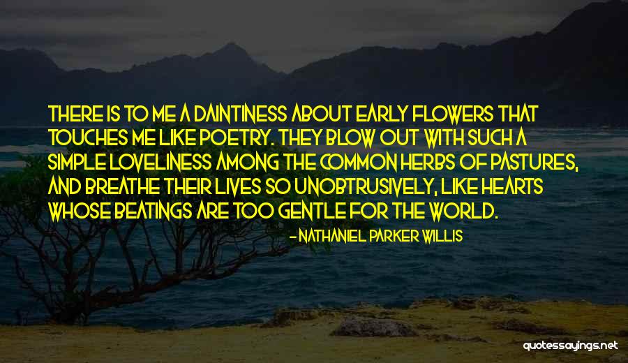Herbs Quotes By Nathaniel Parker Willis Herbs Quotes By Nathaniel Parker Willis