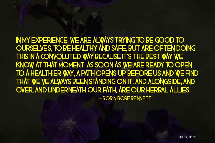 Herbs Quotes By Robin Rose Bennett Herbs Quotes By Robin Rose Bennett
