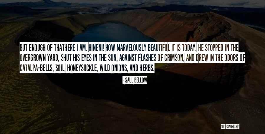 Herbs Quotes By Saul Bellow Herbs Quotes By Saul Bellow