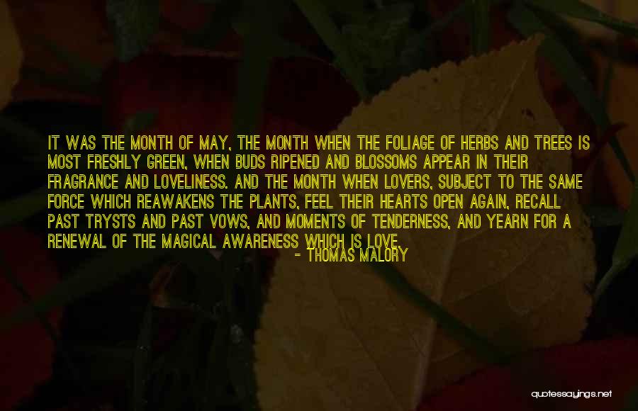 Herbs Quotes By Thomas Malory Herbs Quotes By Thomas Malory