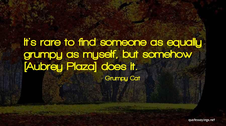 Hercegovina U Quotes By Grumpy Cat Hercegovina U Quotes By Grumpy Cat
