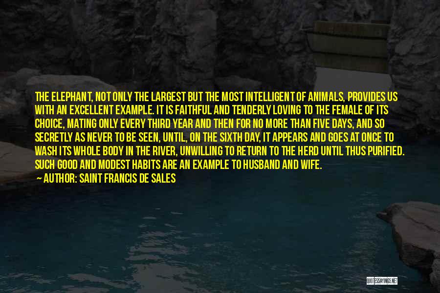 Herd Animals Quotes By Saint Francis De Sales