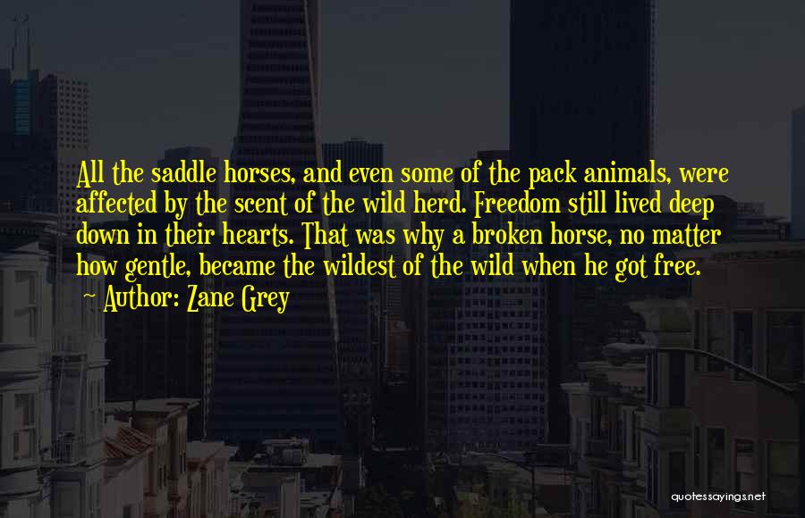 Herd Animals Quotes By Zane Grey