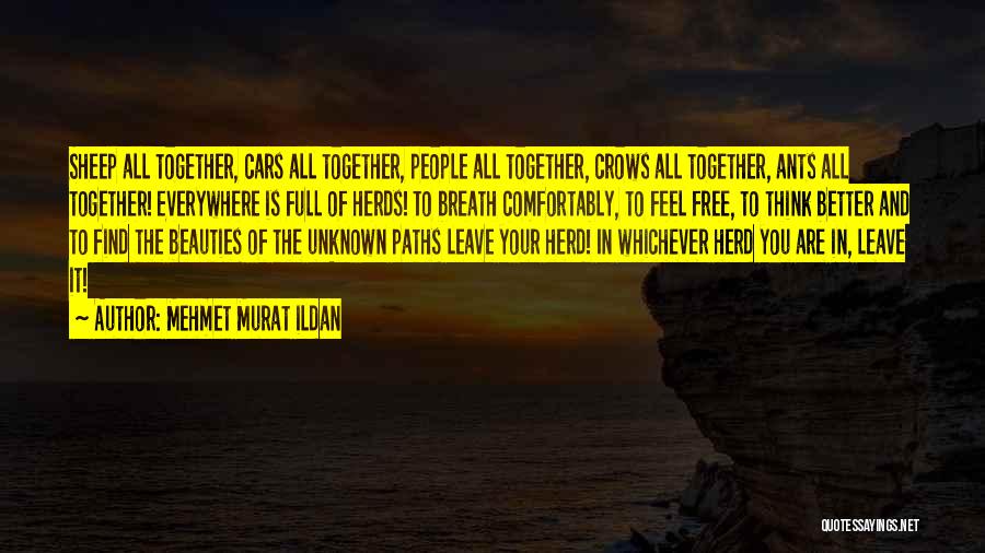 Herd Mentality Quotes By Mehmet Murat Ildan