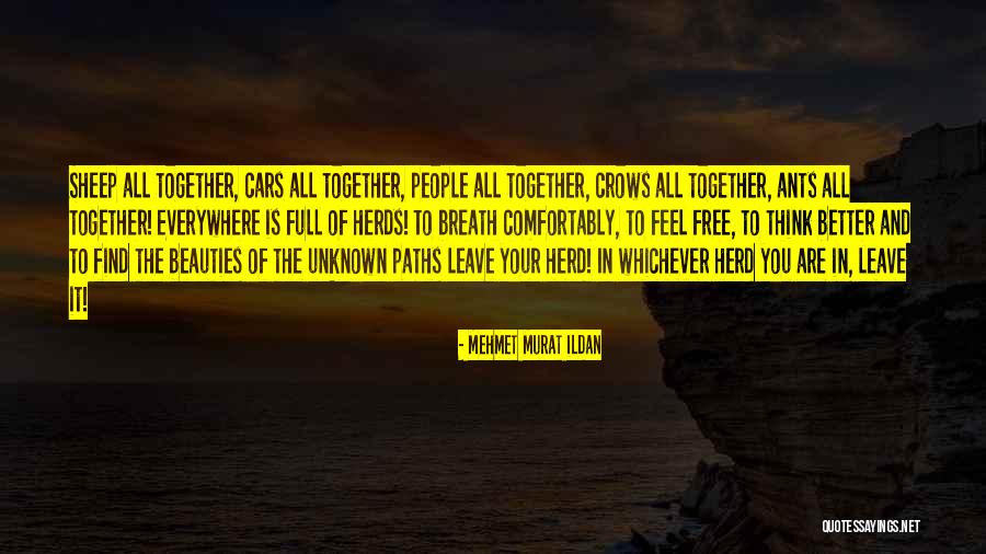 Herd Quotes Quotes By Mehmet Murat Ildan Herd Quotes Quotes By Mehmet Murat Ildan