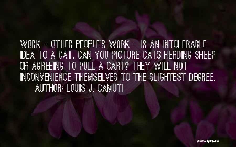 Herding Cats Quotes By Louis J. Camuti