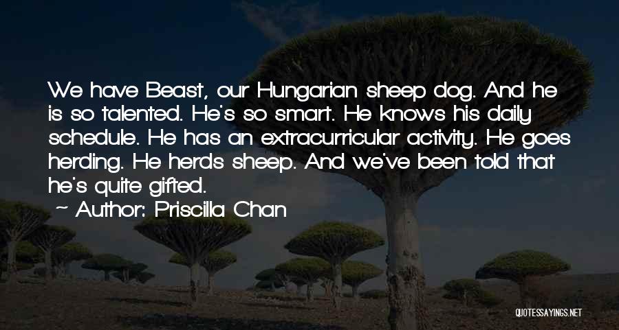 Herding Dog Quotes By Priscilla Chan