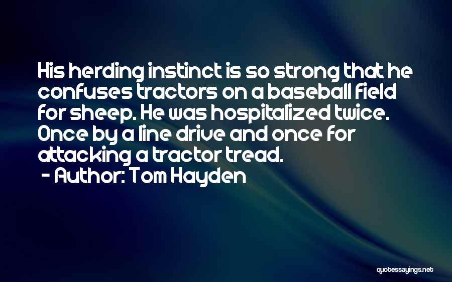 Herding Dog Quotes By Tom Hayden