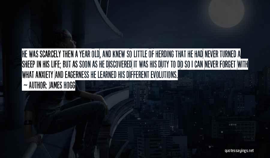 Herding Quotes By James Hogg Herding Quotes By James Hogg