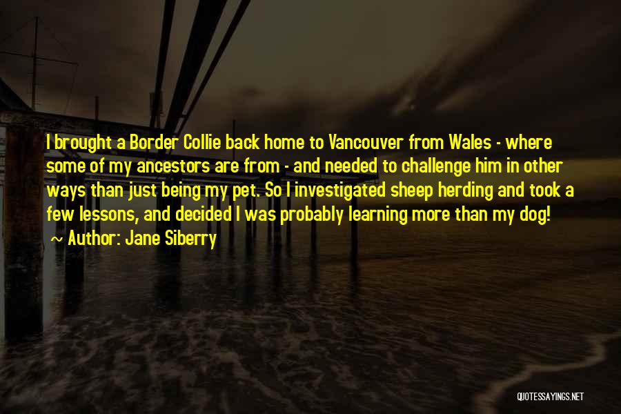 Herding Quotes By Jane Siberry