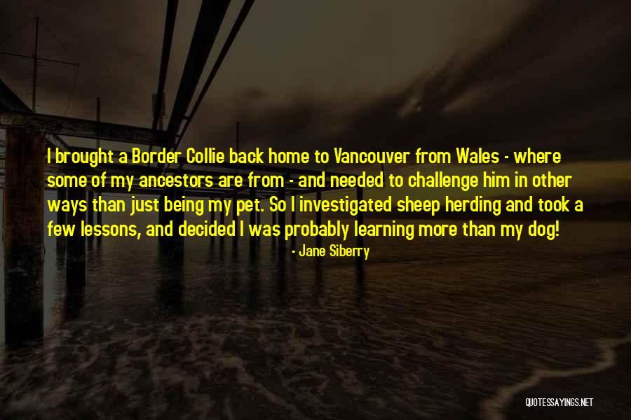 Herding Quotes By Jane Siberry