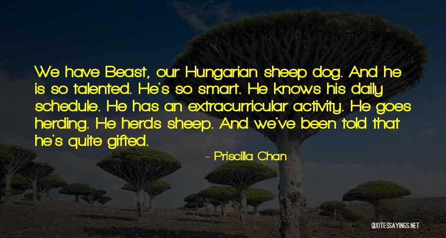 Herding Quotes By Priscilla Chan Herding Quotes By Priscilla Chan