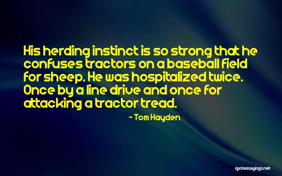 Herding Quotes By Tom Hayden Herding Quotes By Tom Hayden