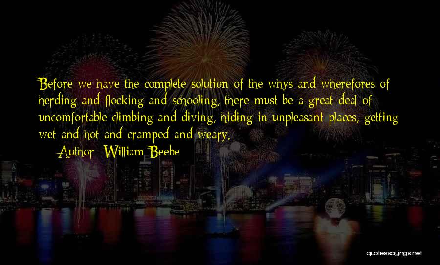 Herding Quotes By William Beebe