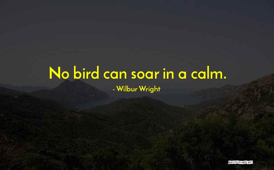Herdis Amelie Quotes By Wilbur Wright Herdis Amelie Quotes By Wilbur Wright