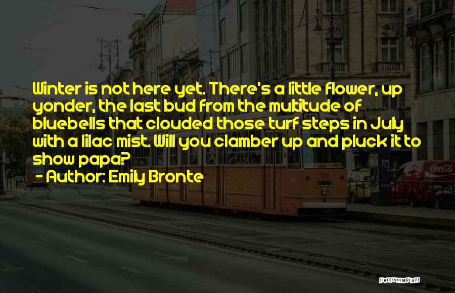 Here Comes Winter Quotes By Emily Bronte