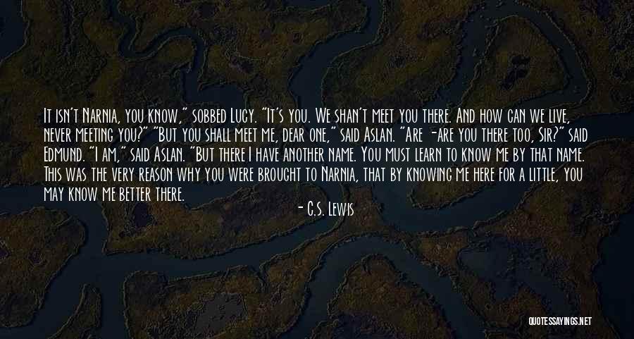 Here For A Reason Quotes By C.S. Lewis