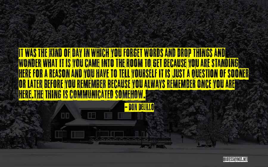 Here For A Reason Quotes By Don DeLillo Here For A Reason Quotes By Don DeLillo