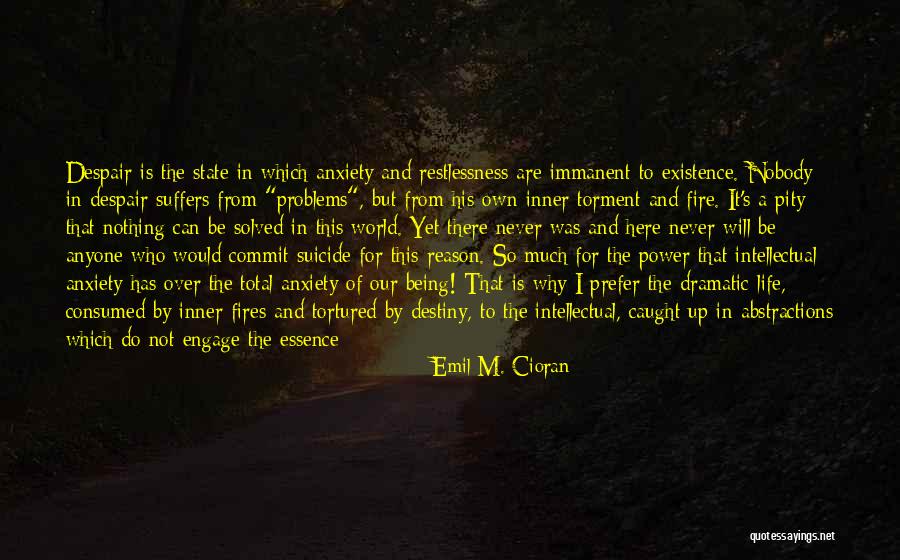 Here For A Reason Quotes By Emil M. Cioran