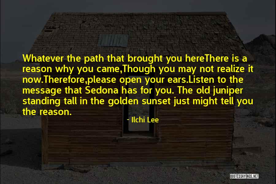 Here For A Reason Quotes By Ilchi Lee