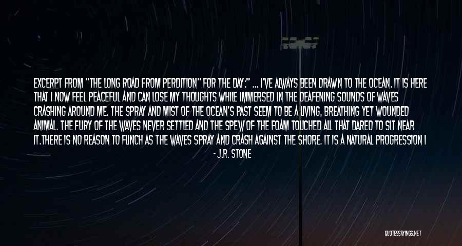 Here For A Reason Quotes By J.R. Stone Here For A Reason Quotes By J.R. Stone