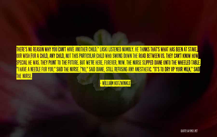 Here For A Reason Quotes By William Kotzwinkle Here For A Reason Quotes By William Kotzwinkle