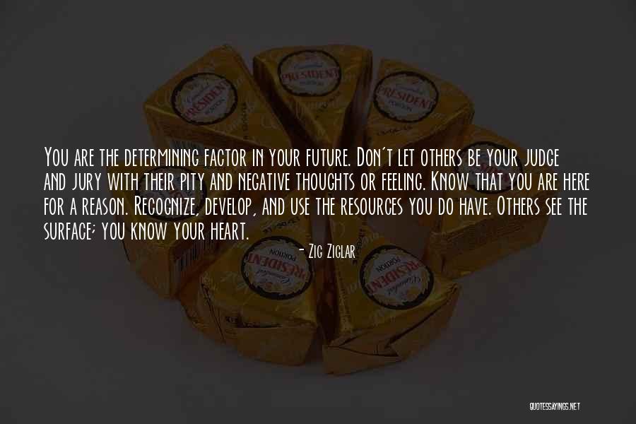 Here For A Reason Quotes By Zig Ziglar