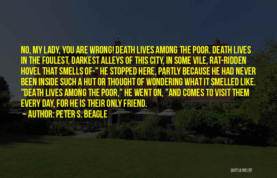 Here For You Friend Quotes By Peter S. Beagle