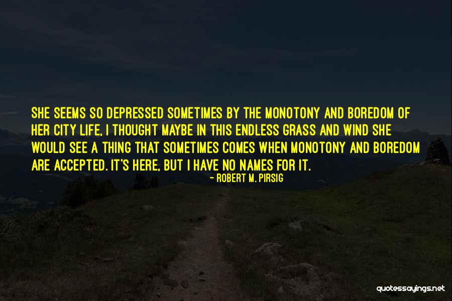 Here She Comes Quotes By Robert M. Pirsig Here She Comes Quotes By Robert M. Pirsig