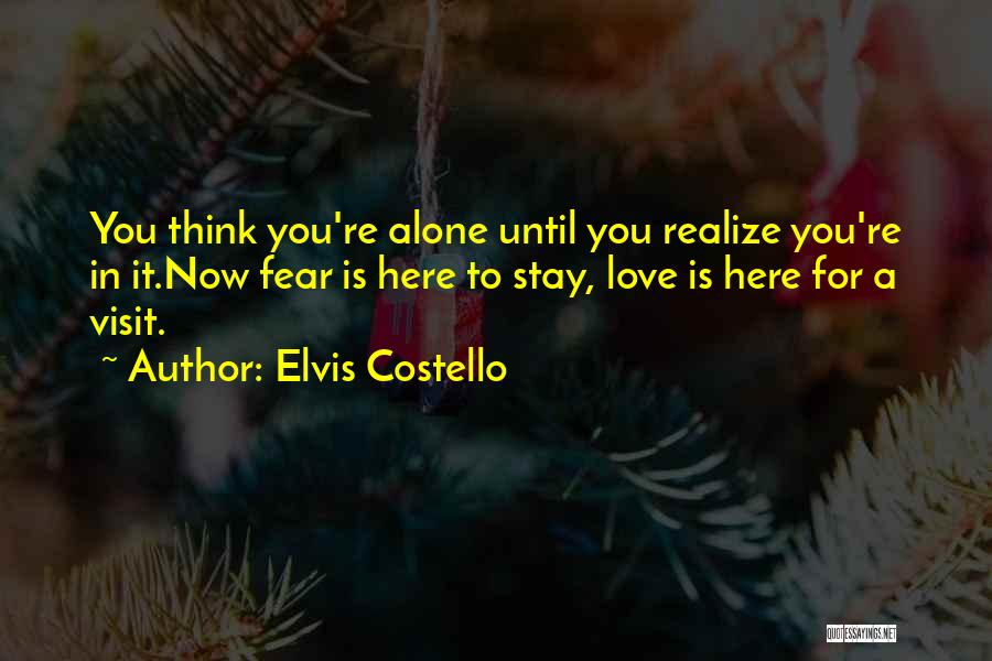 Here To Stay Love Quotes By Elvis Costello