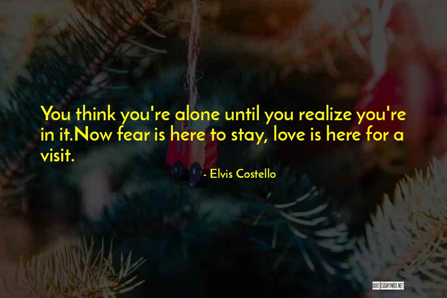 Here To Stay Love Quotes By Elvis Costello