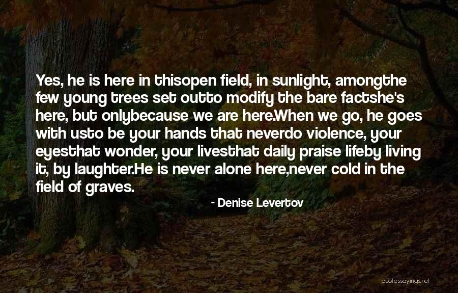 Here We Go Quotes By Denise Levertov Here We Go Quotes By Denise Levertov