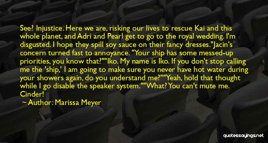 Here You Go Again Quotes By Marissa Meyer