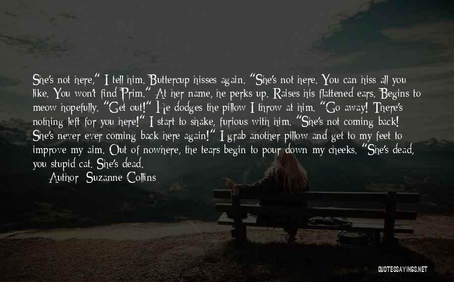 Here You Go Again Quotes By Suzanne Collins