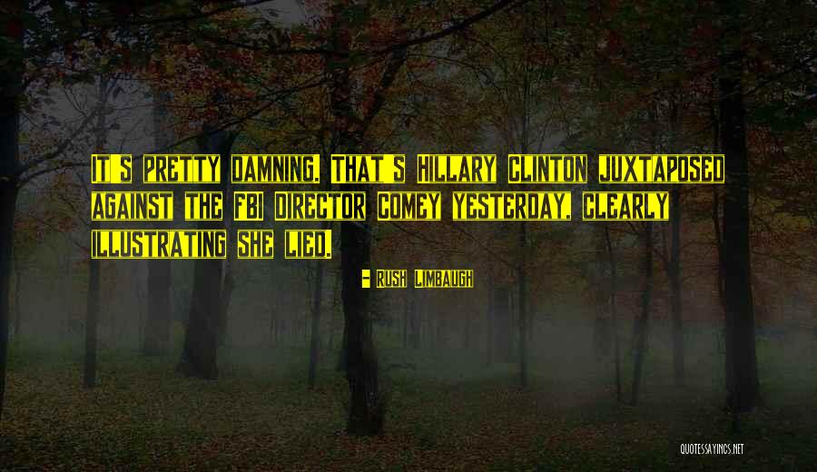 Herencia De Patrones Quotes By Rush Limbaugh Herencia De Patrones Quotes By Rush Limbaugh