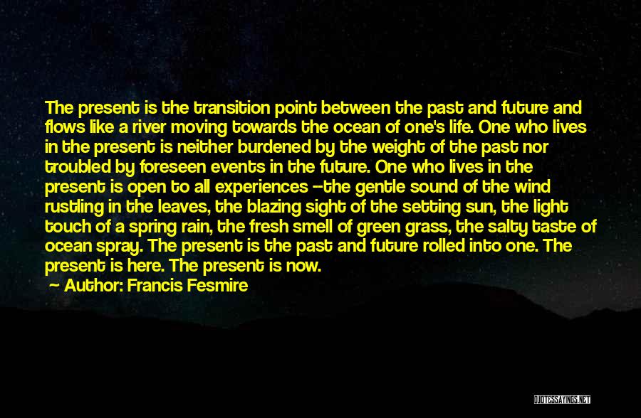 Here's To The Future Quotes By Francis Fesmire