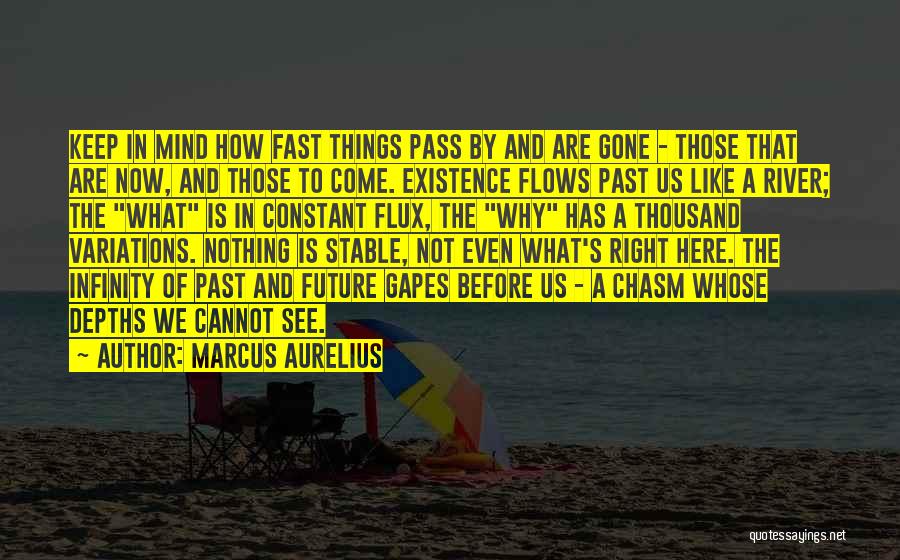 Here's To The Future Quotes By Marcus Aurelius