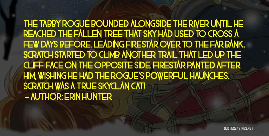 Heresorvad S Quotes By Erin Hunter