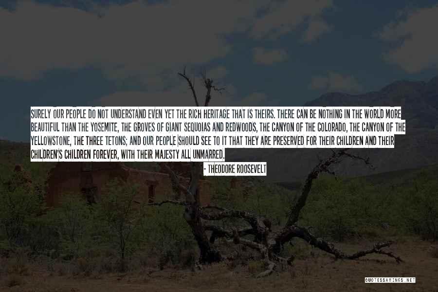 Heritage And Children Quotes By Theodore Roosevelt Heritage And Children Quotes By Theodore Roosevelt