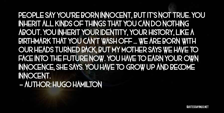 Heritage And Identity Quotes By Hugo Hamilton