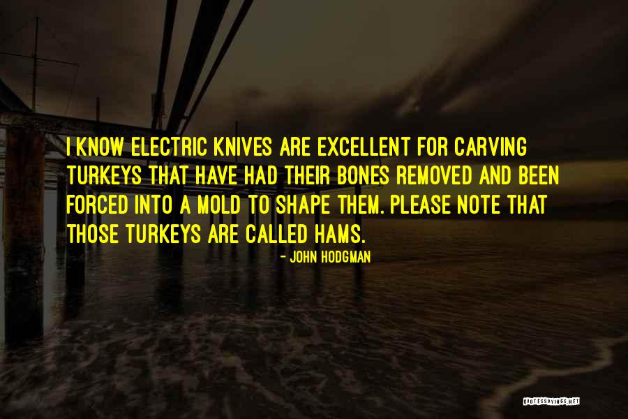 Herizal Hazri Quotes By John Hodgman Herizal Hazri Quotes By John Hodgman