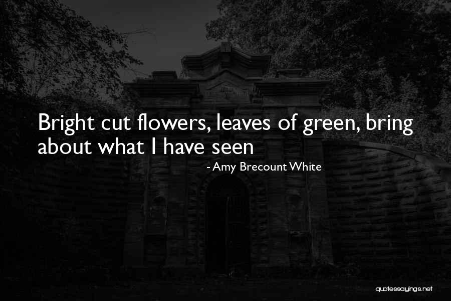 Hermaken Quotes By Amy Brecount White Hermaken Quotes By Amy Brecount White