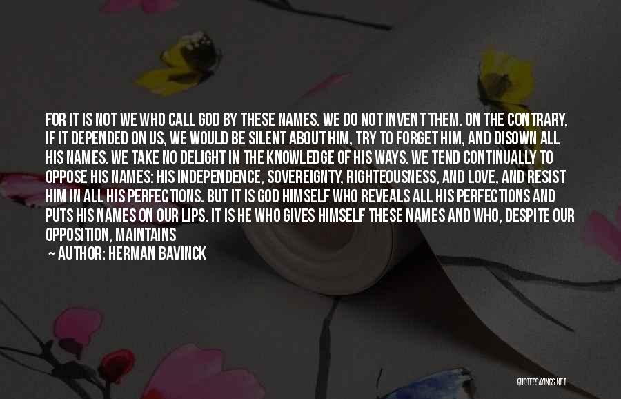 Herman Bavinck Quotes 1804443