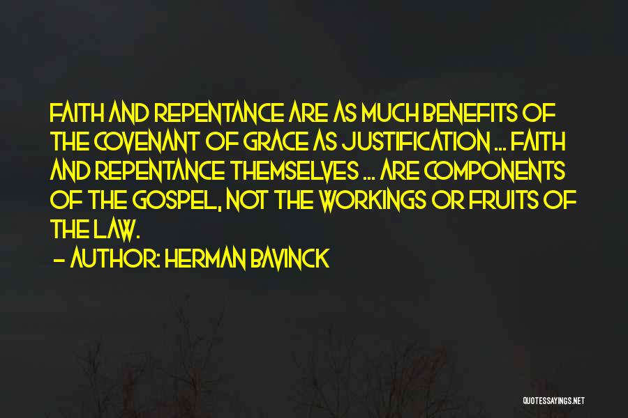 Herman Bavinck Quotes 2032650